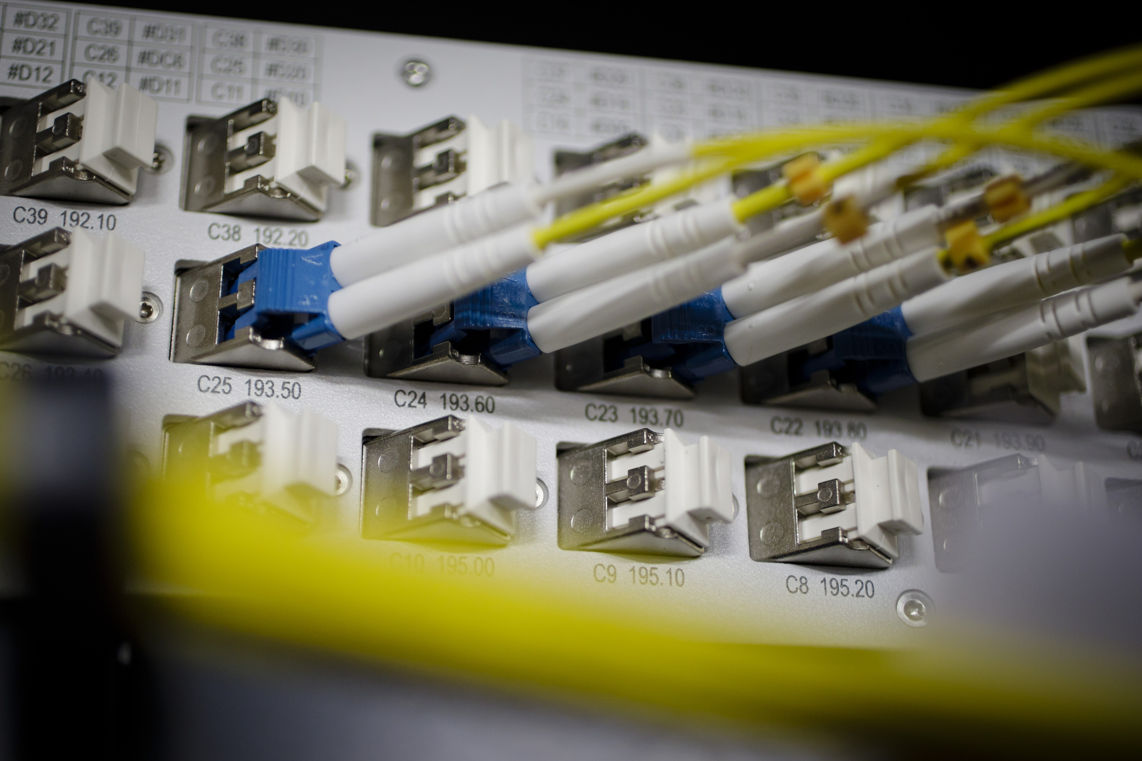 Kabel stecken an einem Server